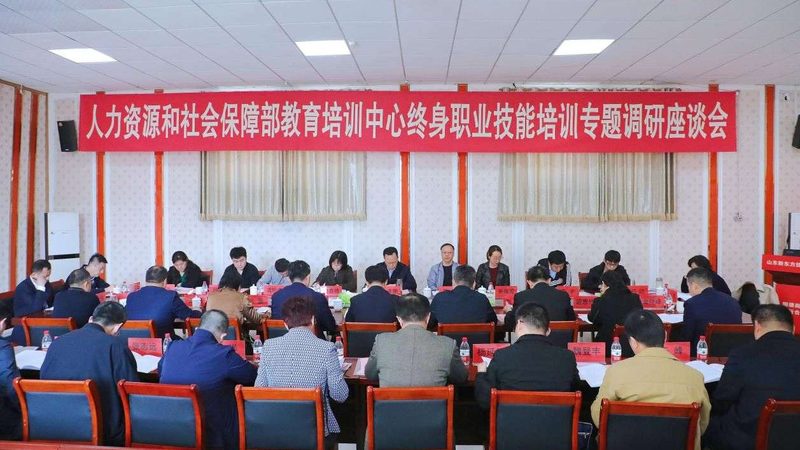 Scratch与少儿编程：探秘两者间的微妙差异